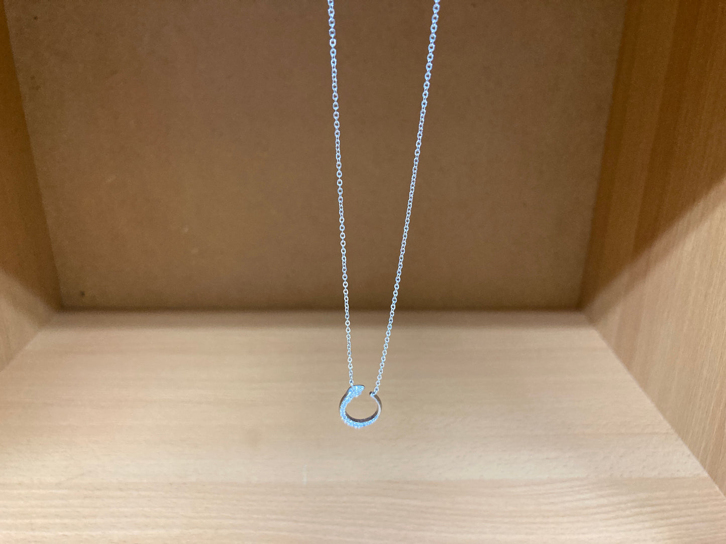 Tiny Treasures Seoul - Delicate Snake Necklace (Silver) 8