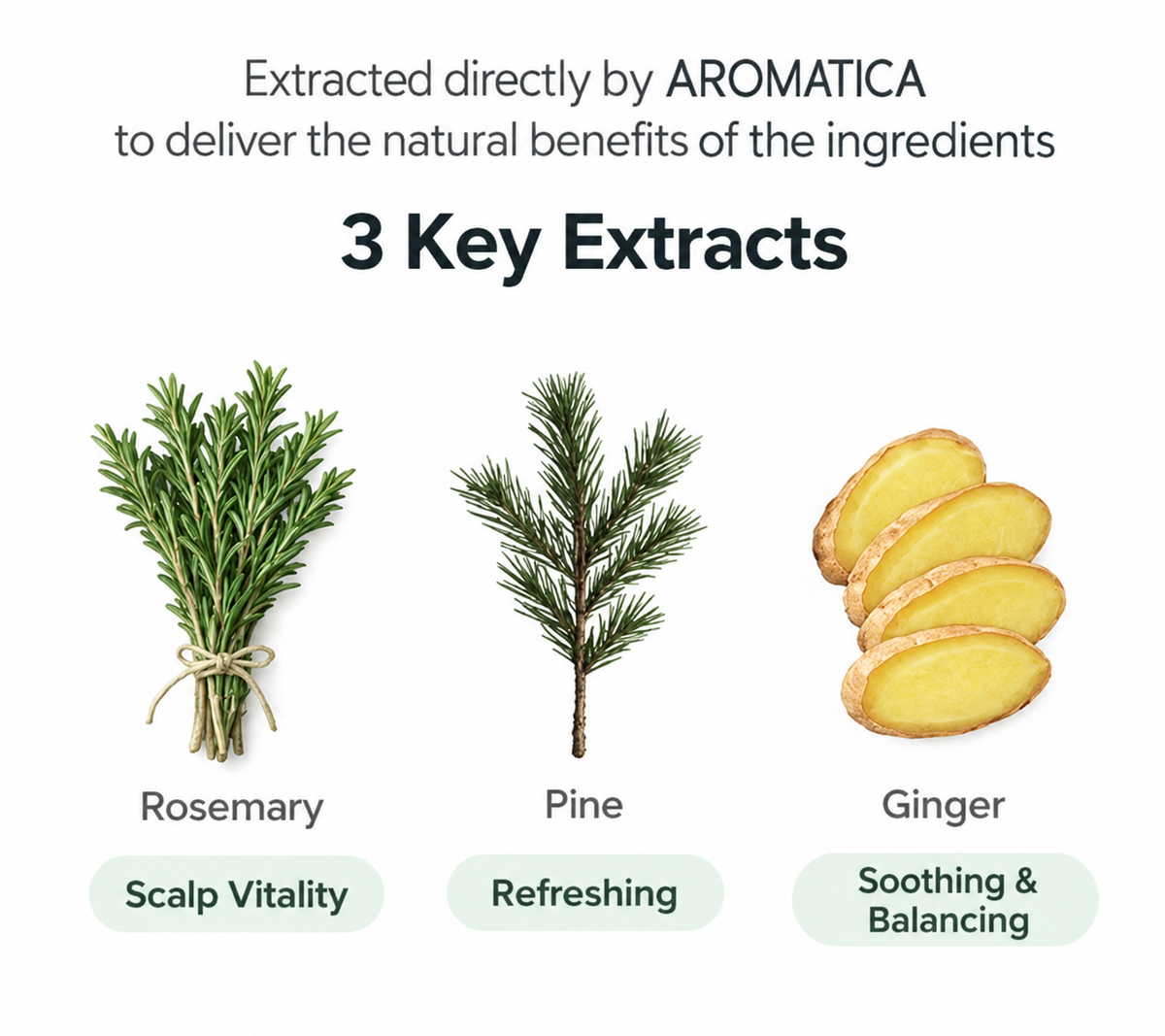 AROMATICA Rosemary Root Enhancer Scalp Tonic 100 ml (3.3 fl oz)