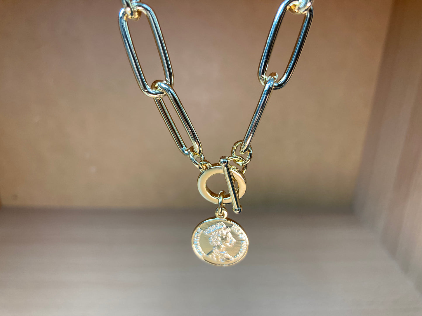 Bold Paperclip Toggle Coin Necklace