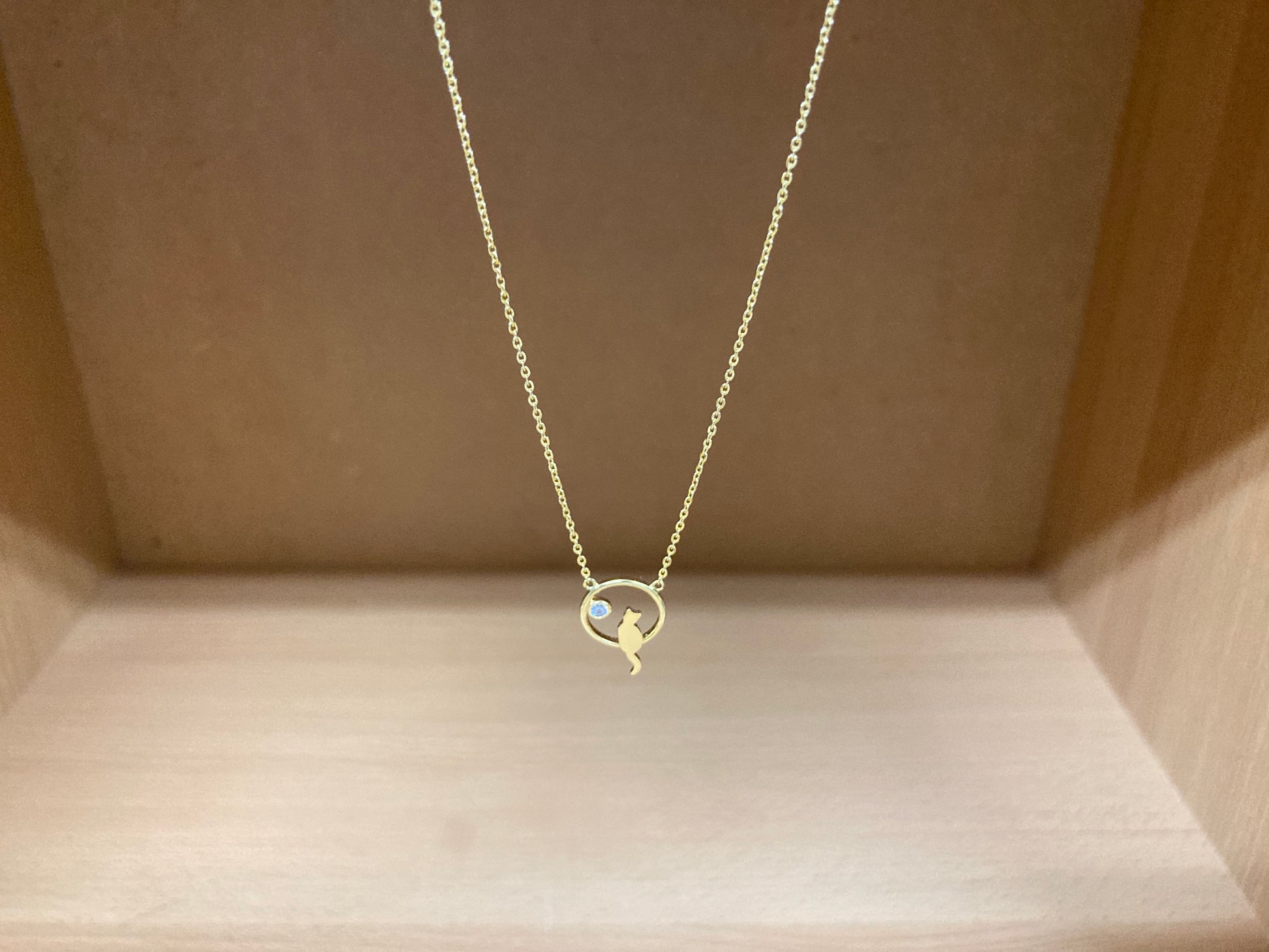 Tiny Treasures Seoul - Cat Zirconia Circle Necklace (Gold) 2