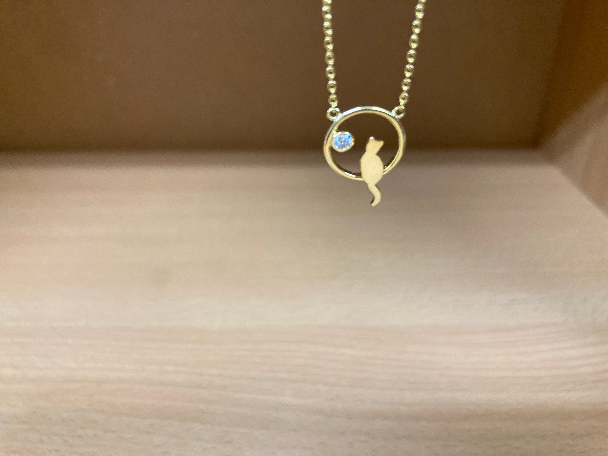 Tiny Treasures Seoul - Cat Zirconia Circle Necklace (Gold) 9