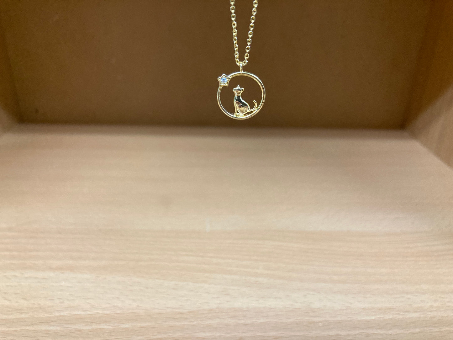 Tiny Treasures Seoul - Cat & Star Circle Necklace (Gold) 9