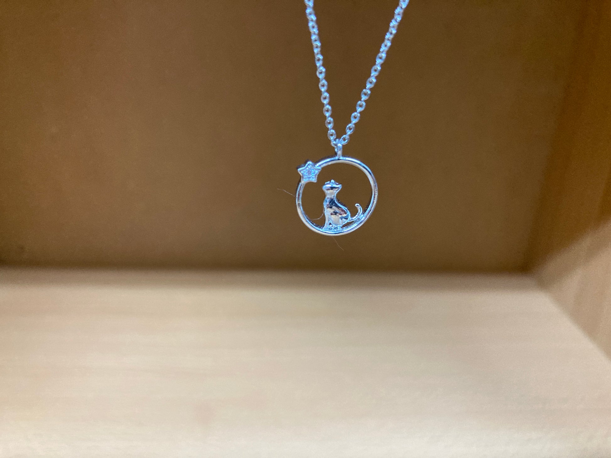 Tiny Treasures Seoul - Cat & Star Circle Necklace (Silver) 