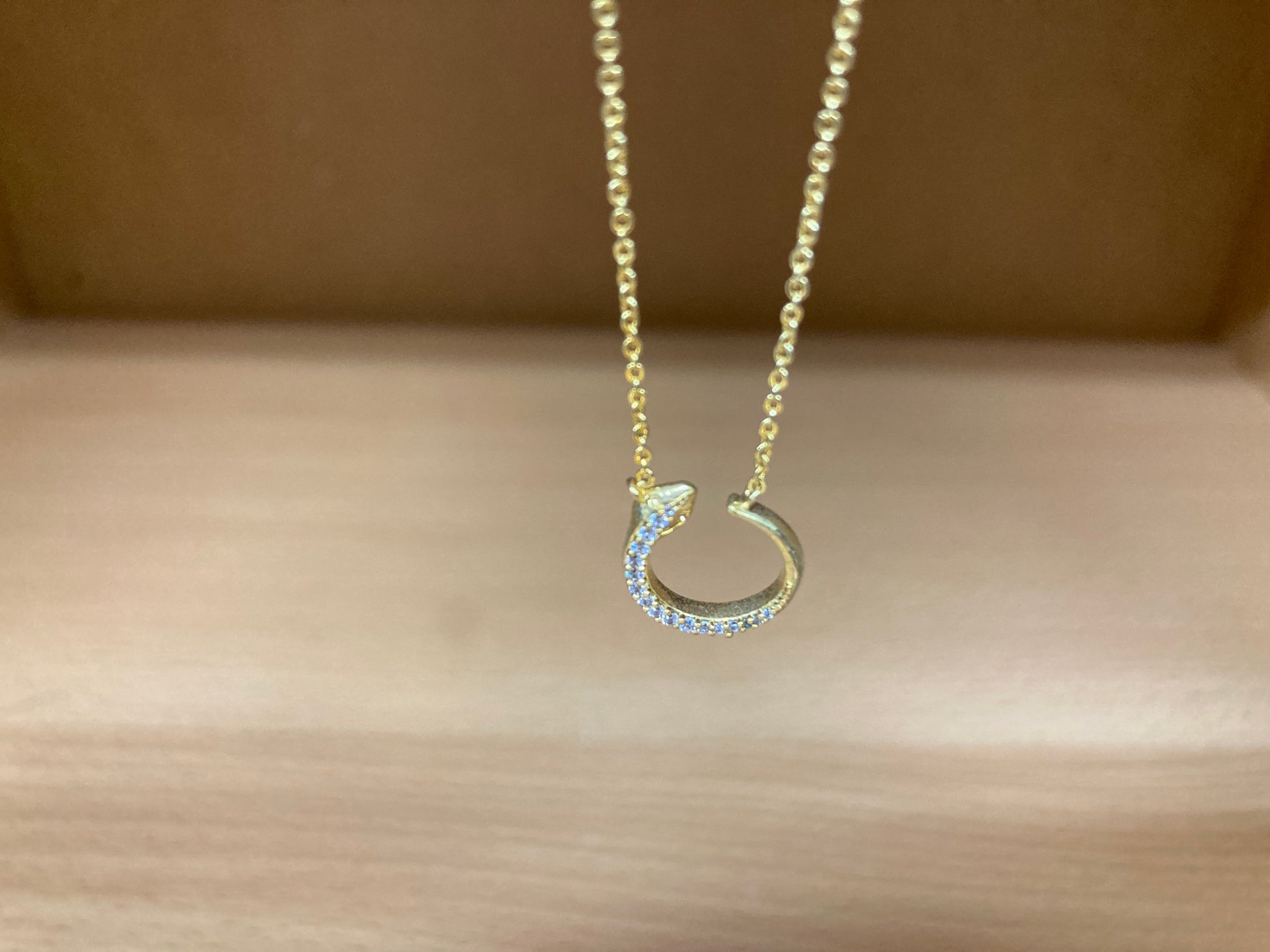 Tiny Treasures Seoul - Delicate Snake Necklace (Gold) 2