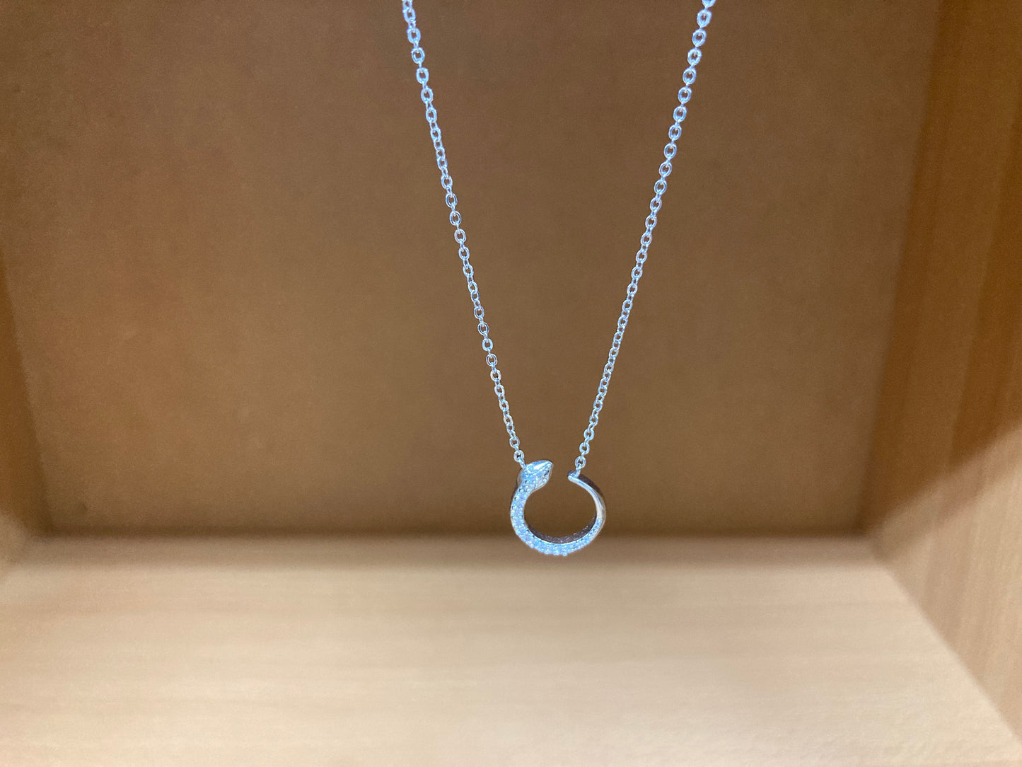 Tiny Treasures Seoul - Delicate Snake Necklace (Silver) 