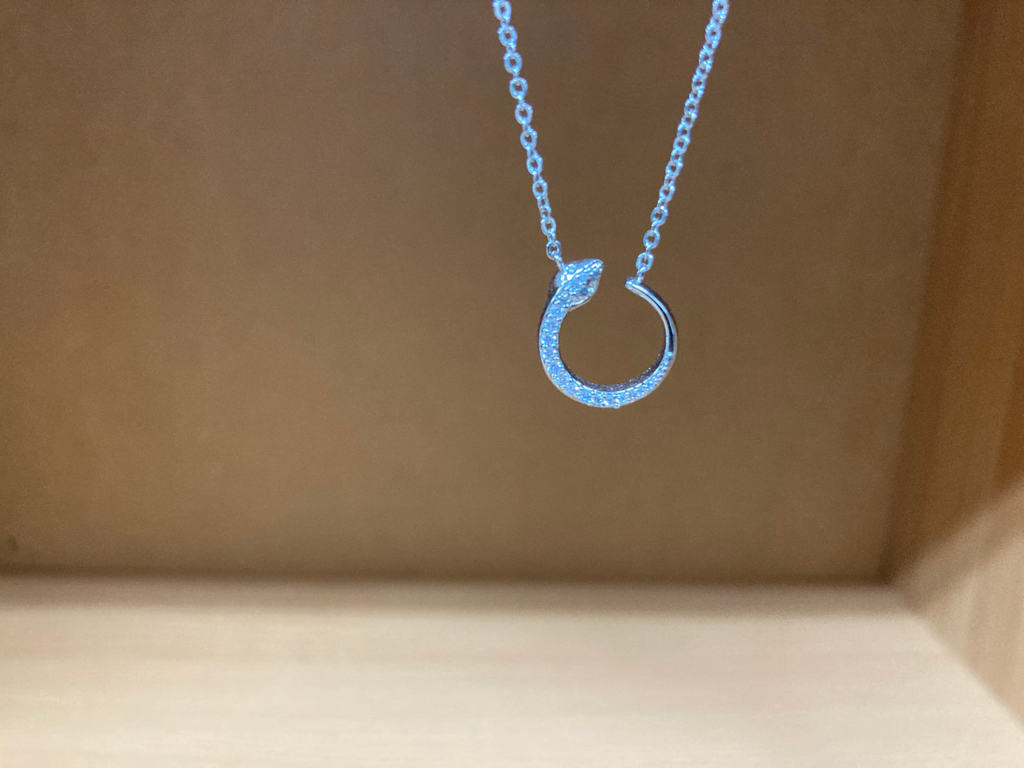 Tiny Treasures Seoul - Delicate Snake Necklace (Silver) 2