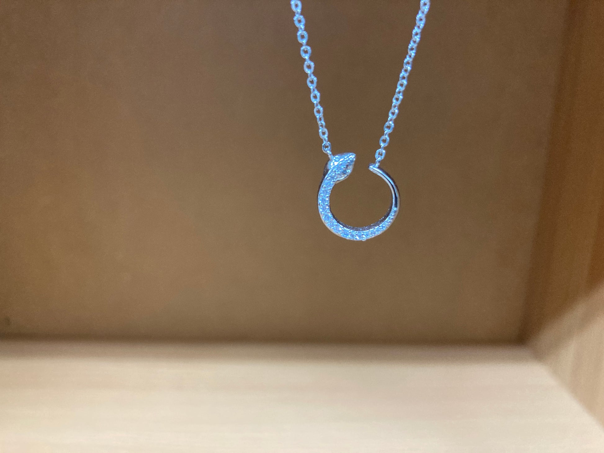 Tiny Treasures Seoul - Delicate Snake Necklace (Silver) 2