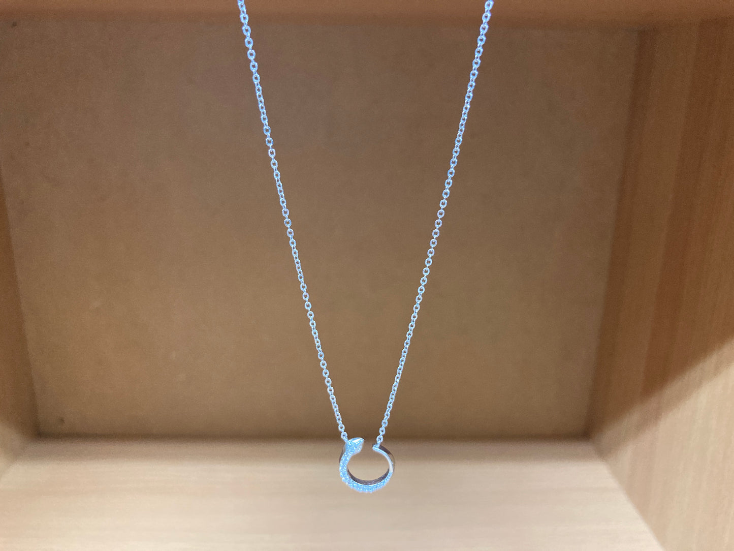 Tiny Treasures Seoul - Delicate Snake Necklace (Silver) 3