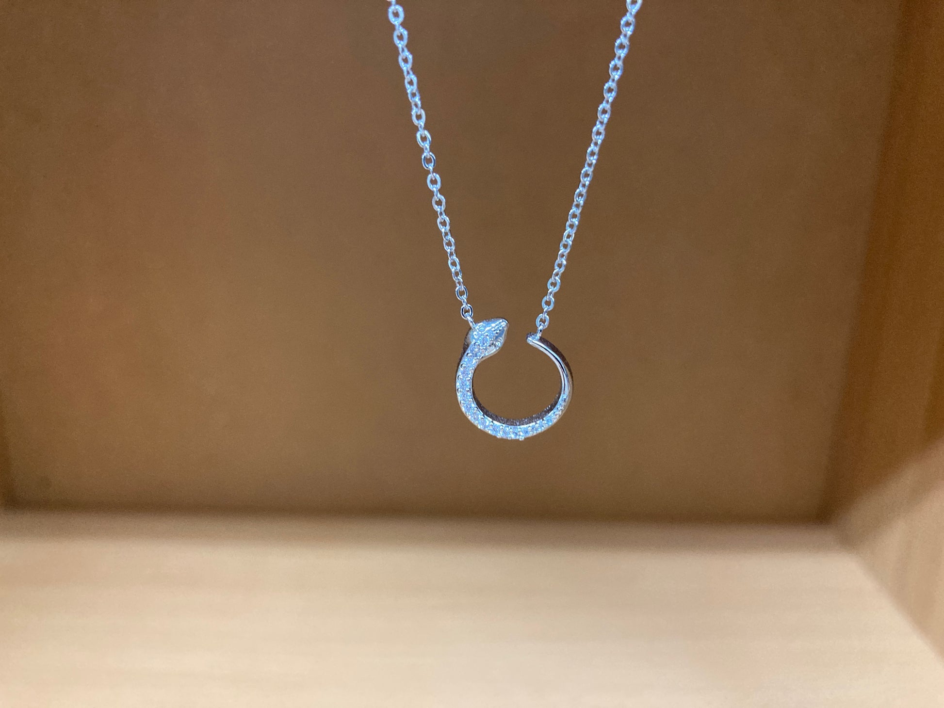 Tiny Treasures Seoul - Delicate Snake Necklace (Silver) 4