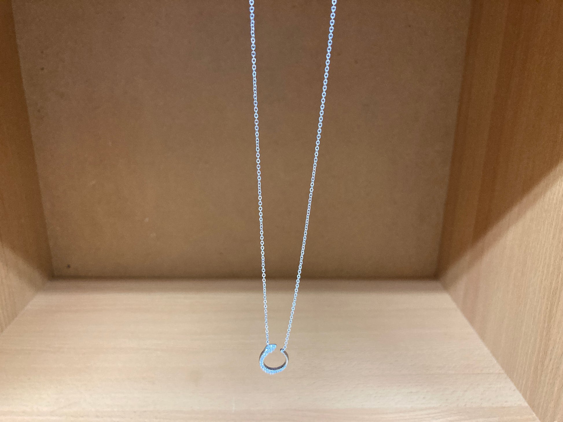 Tiny Treasures Seoul - Delicate Snake Necklace (Silver) 5