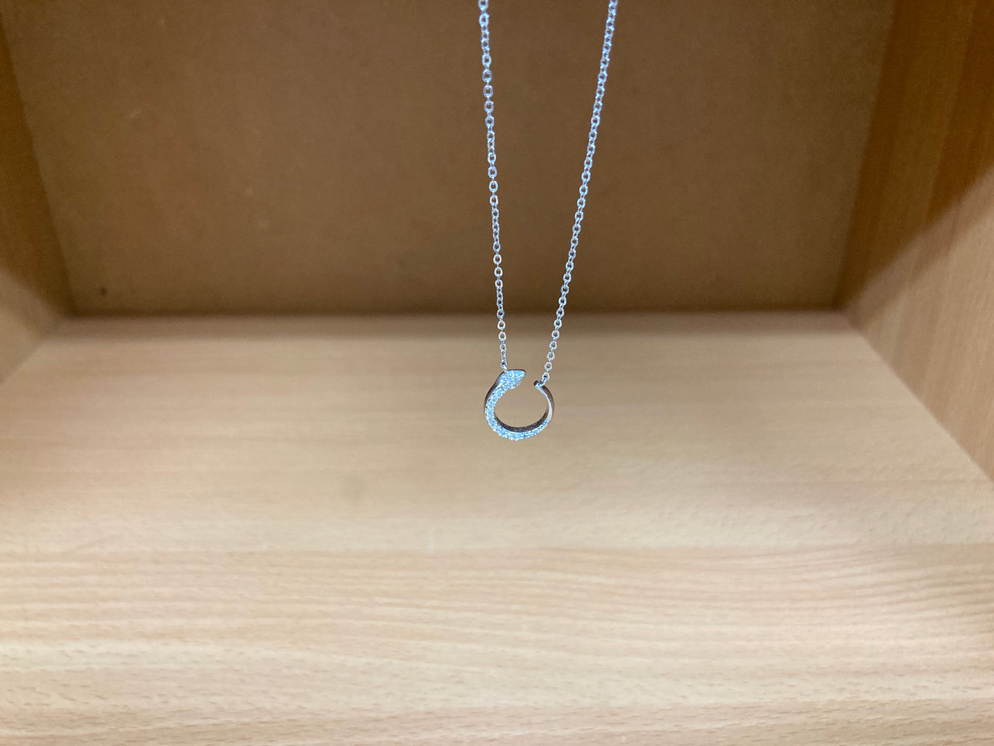 Tiny Treasures Seoul - Delicate Snake Necklace (Silver) 6