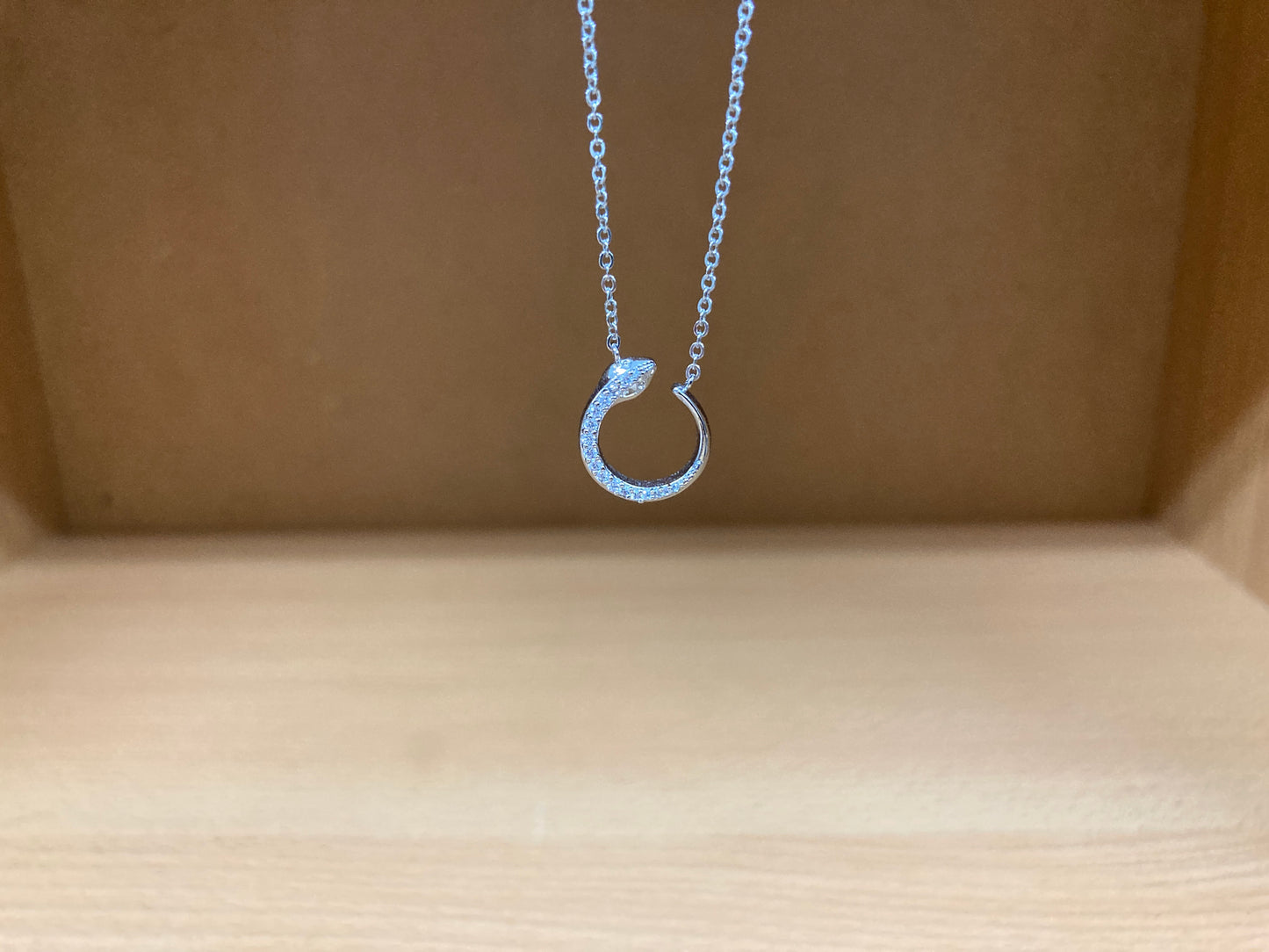 Tiny Treasures Seoul - Delicate Snake Necklace (Silver) 7