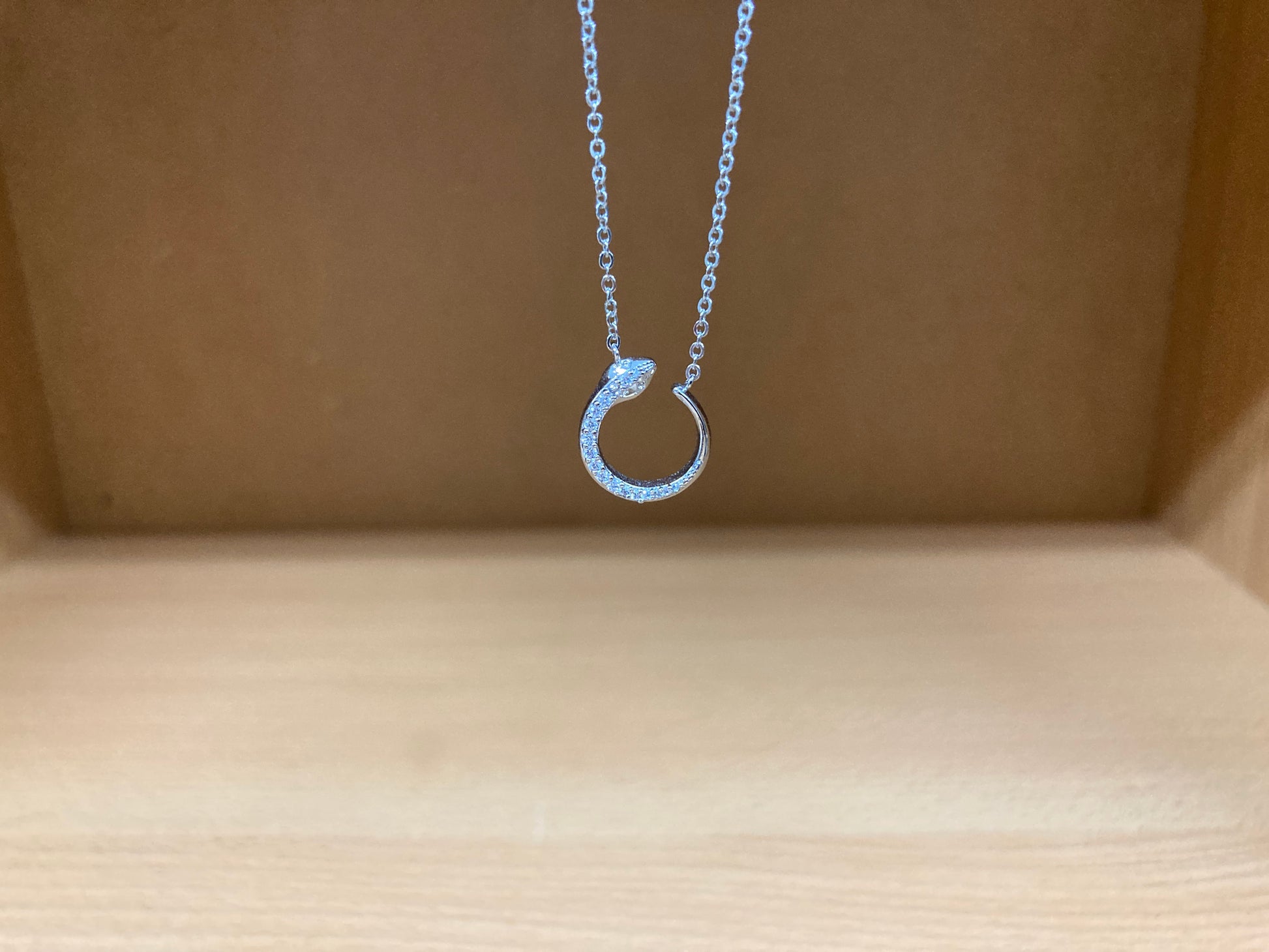 Tiny Treasures Seoul - Delicate Snake Necklace (Silver) 7