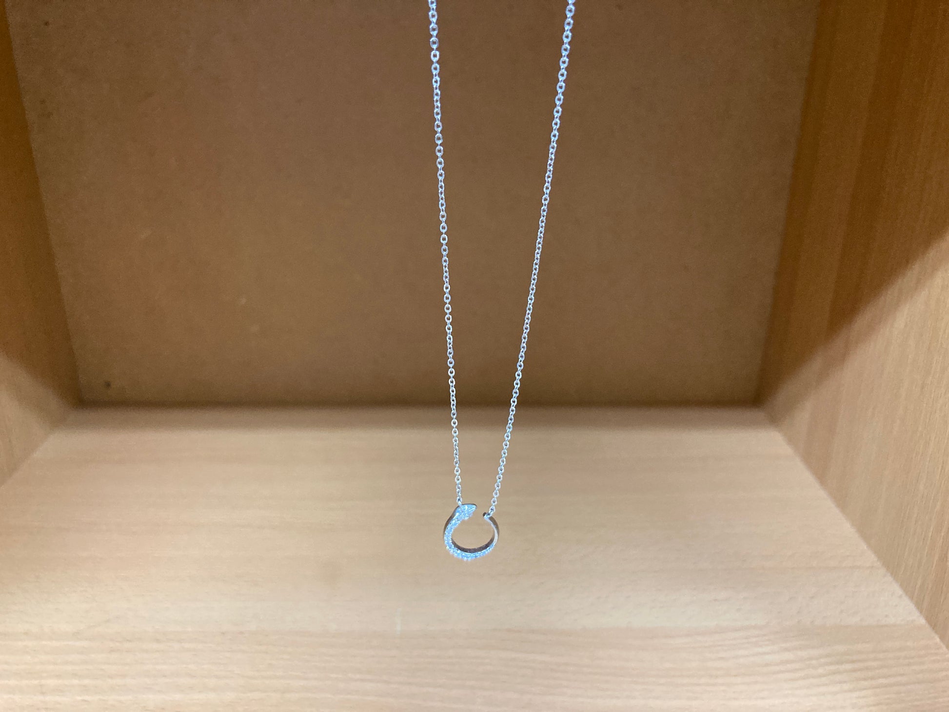 Tiny Treasures Seoul - Delicate Snake Necklace (Silver) 8