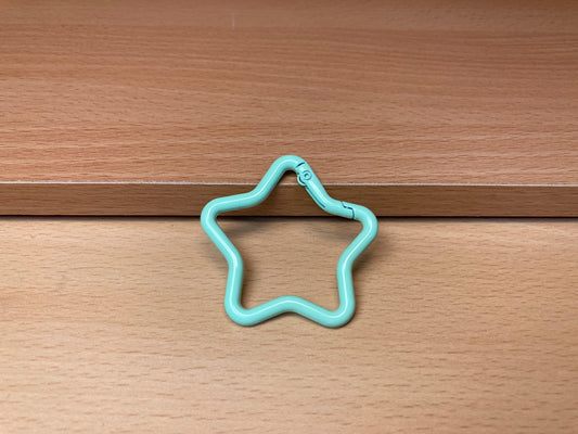 Mint Green Star Shape Holder Key Ring